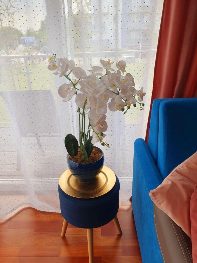 Apartament Comfort I Kołobrzeg Exteriör bild